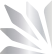 logo-silver logo-silver